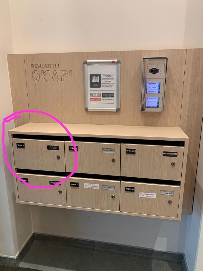 Apartmán Okapi Halle  Exteriér fotografie