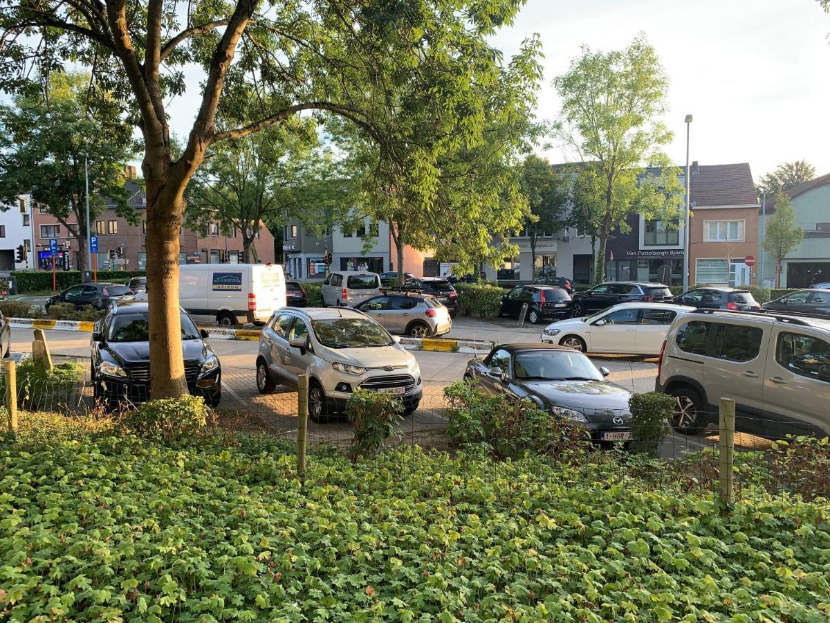 Apartmán Okapi Halle  Exteriér fotografie