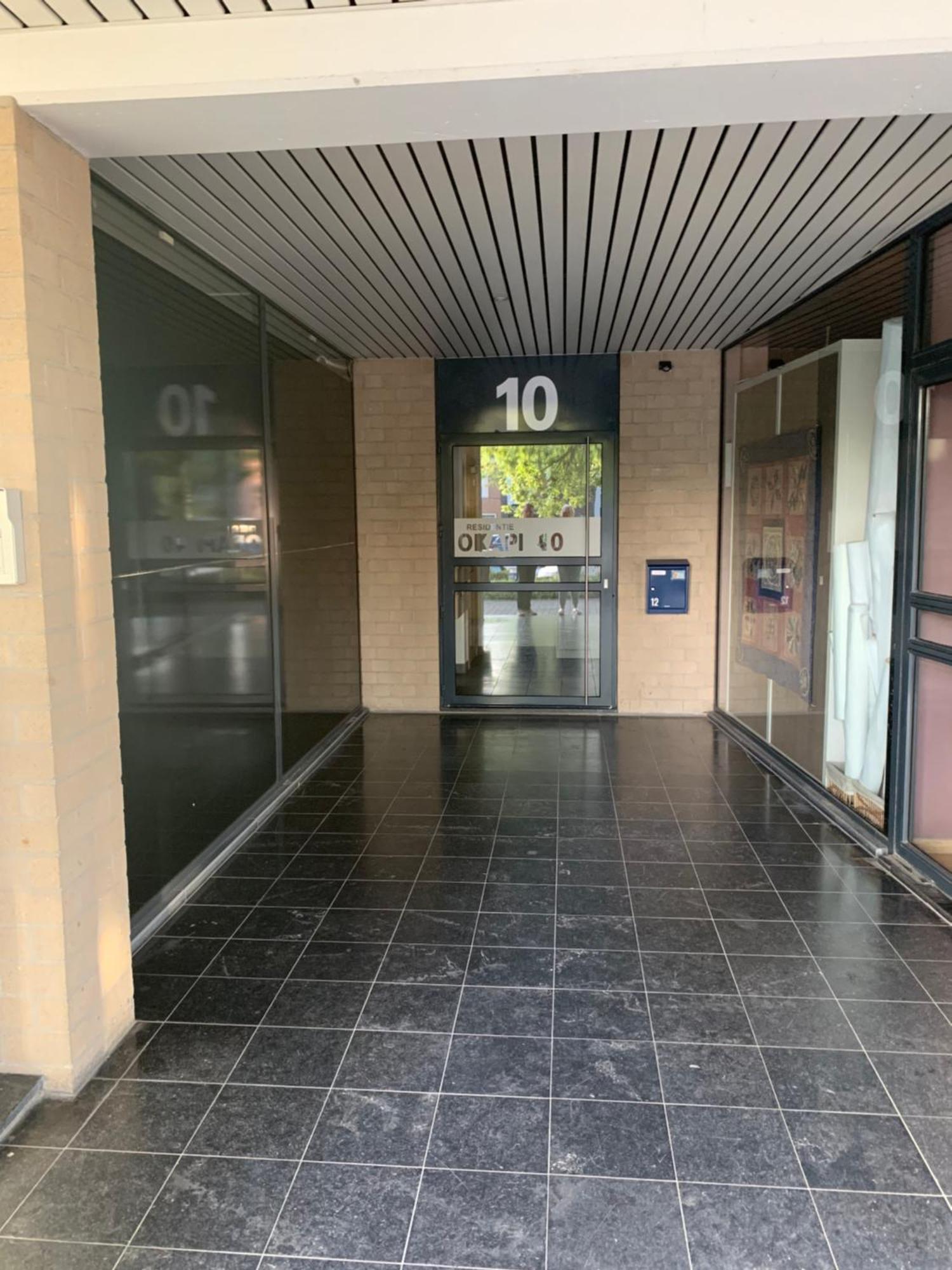 Apartmán Okapi Halle  Exteriér fotografie
