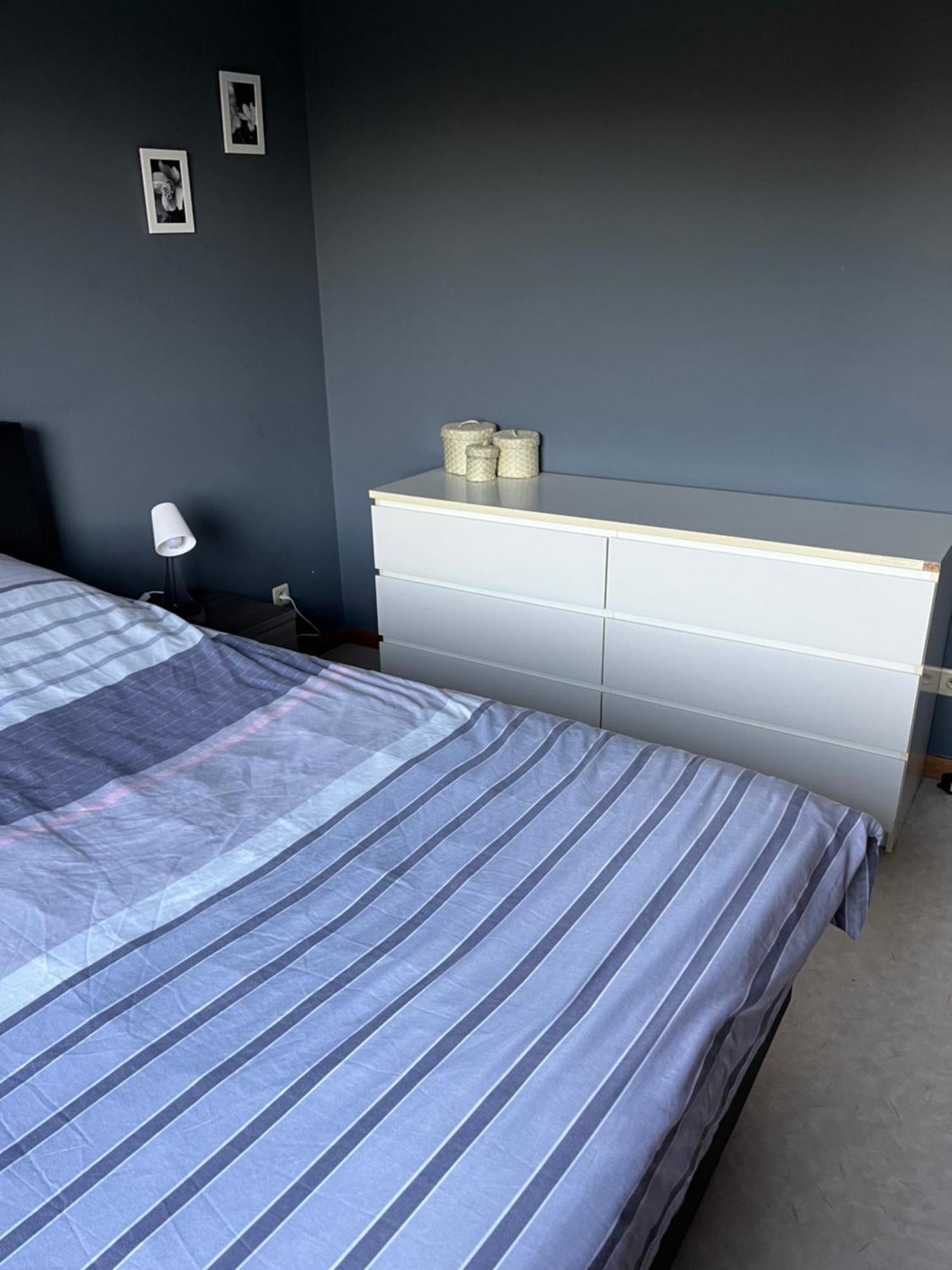 Apartmán Okapi Halle  Exteriér fotografie